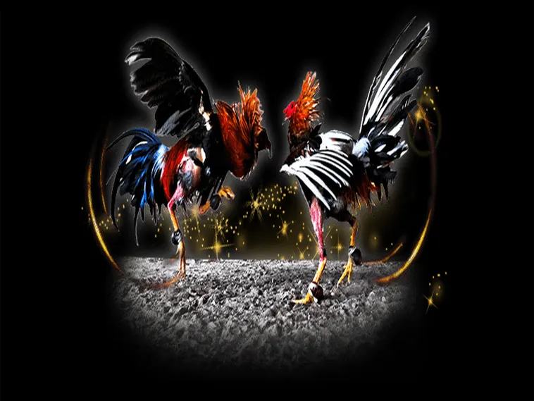 Bí Quyết Chơi Đá Gà Sabong King88 Hiệu Quả Cho Cao Thủ Cá Cược Lão Luyện