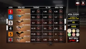 Kinh Nghiệm Chơi Game Nhanh Đua Chó King88 Dành Cho Người Mới Và Cao Thủ